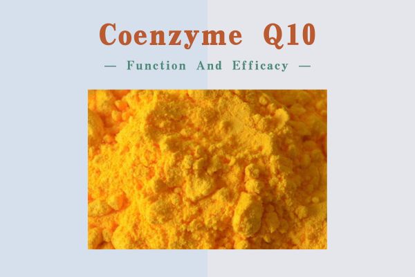 What is the role and efficacy of coenzyme Q10?