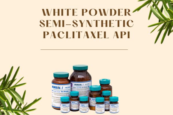 White Powder Semi-Synthetic Paclitaxel Api
