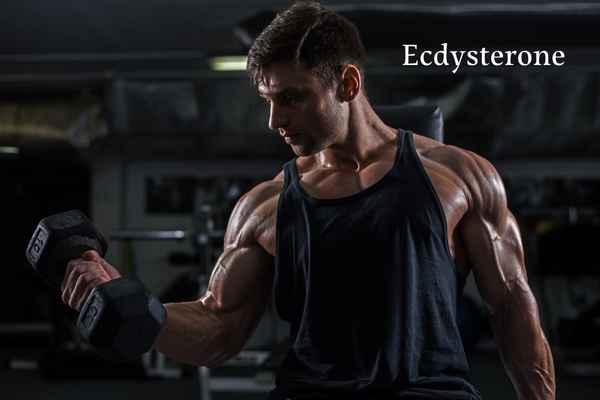 What are the effects of ecdysterone on fitness?