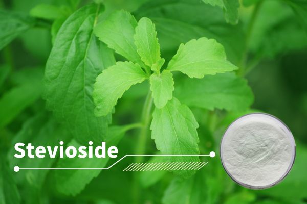 What are the effects of stevioside?