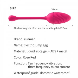 Wireless Electric Pulse Panty Egg Vibrator – Intense Pleasure at Your Fingertips