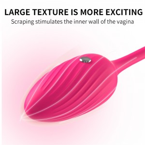 Wireless Electric Pulse Panty Egg Vibrator – Intense Pleasure at Your Fingertips
