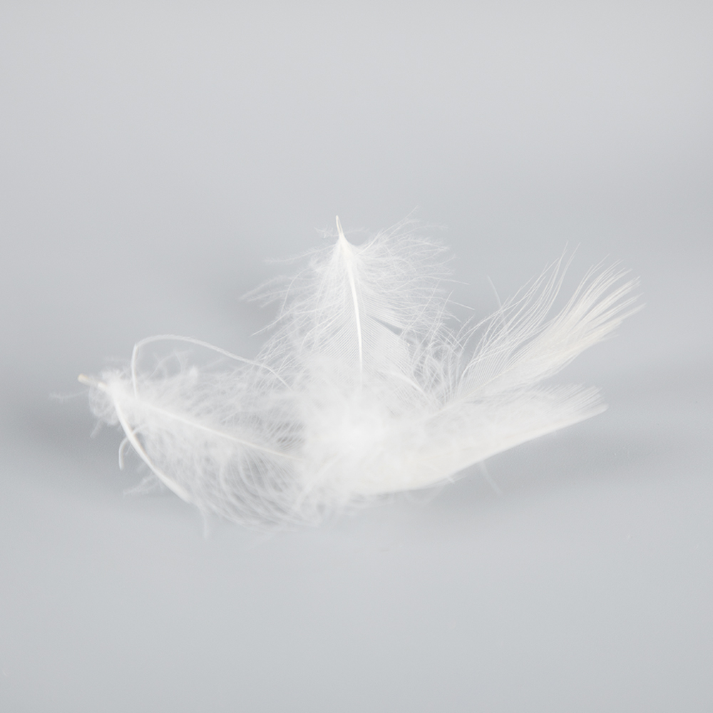 Washed White Duck Feather 2-4 cm