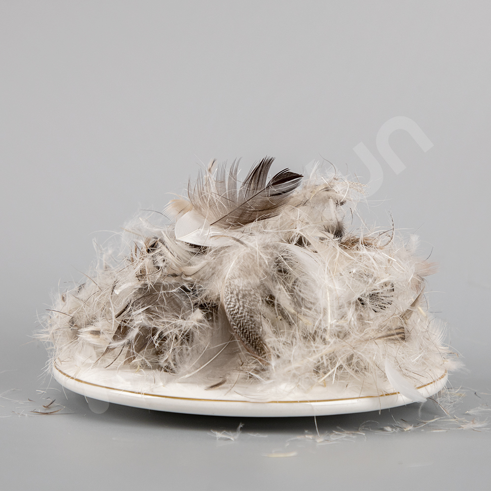 Washed Gery Duck Feather 4-6 Cm