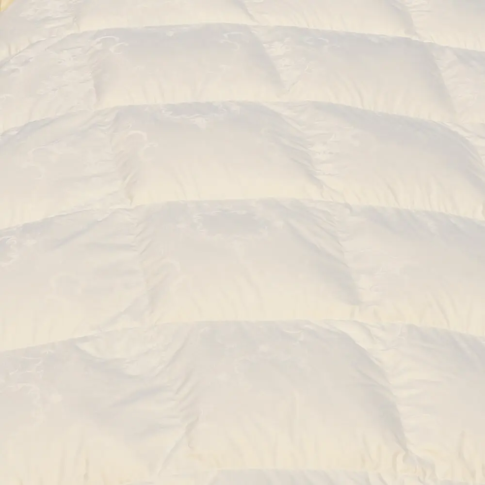 95/5 Luxurious Goose Down Comforter, Ultra-Soft Tencel /Cotton Goose Down Comforter,  Home Collection  Medium Warmth All Season Fluffy Duvet Insert