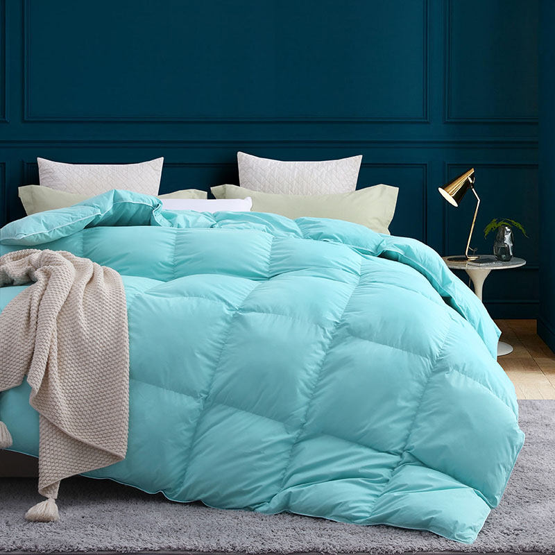 Goose Down Comforter All Season-Ultra Soft and Comfortable Duvet Insert Aqua