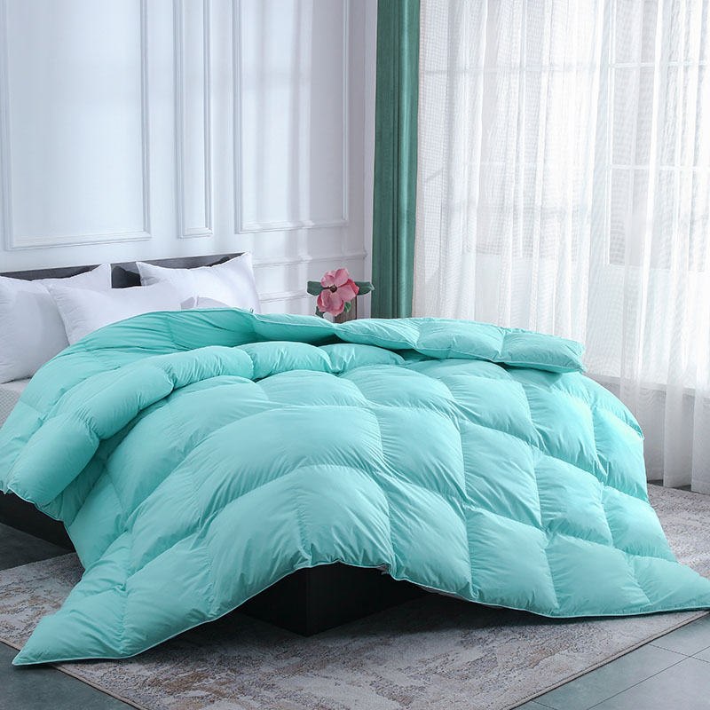 Goose Down Comforter All Season Down Duvet Insert Cotton Shell Soft Aqua Bed Comforter with 8 Corner Tabs