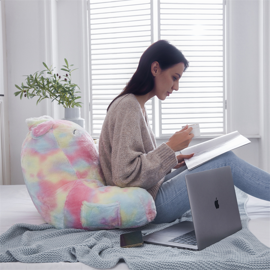 Custom Discount Neck Support Pillow Manufacturers –  Rainbow Reading Bed Rest Pillow – HANYUN