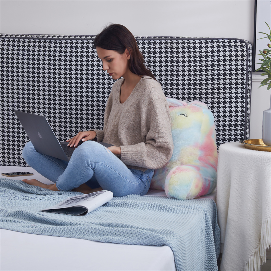 Custom Discount Decorative Pillows Manufacturer –  Rainbow Reading Bed Rest Pillow – HANYUN