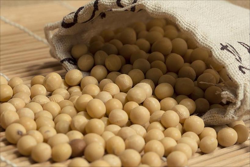 What is soy fiber?
