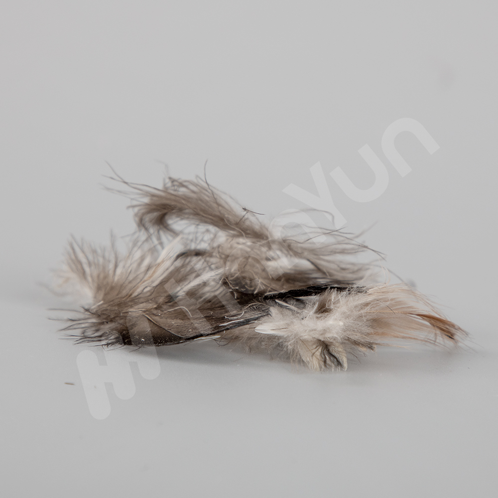 Washed Gery Duck Feather 2-4 Cm