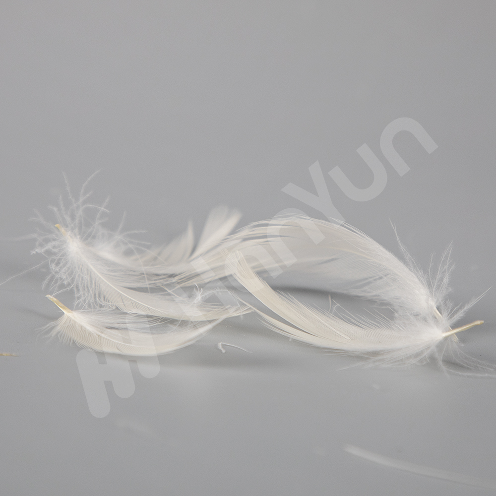 Washed White Duck Feather 4-6 cm