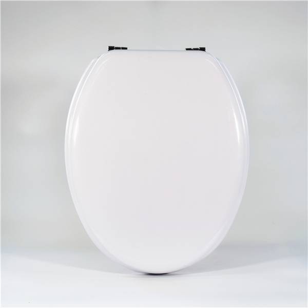 100% Original Factory Stone Toilet Lid - Molded Wood Toilet Seat – PVC White – Haorui