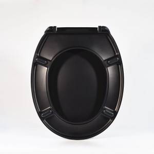 Wholesale Dealers of Children Toilet Seat - Duroplast Toilet Seat – Black Frosted – Haorui