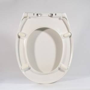 PriceList for China Electric Adjust Height Toilet Seat with Armrest Fixed Ground