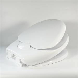 Wholesale OEM China Soft Close Sensor Intelligent Bidet Automatic Water Spray Toilet Seat