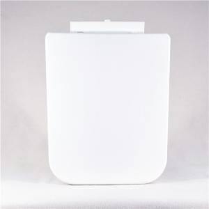 professional factory for Frosted Toilet Lid - PP Toilet Seat – Square Shape – Haorui
