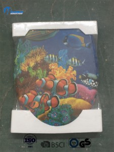 Duroplast toilet seat with printed design