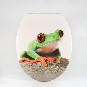 Discountable price Glitter Toilet Lid - Duroplast Toilet Seat – Frog Type – Haorui
