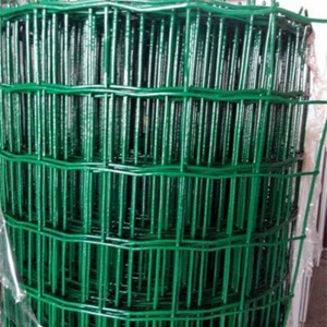 Factory directly supply Galvanized Wire Mesh Panels – Euro Fence with pvc coated – XINTELI