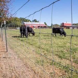 2 Meter Galvanized Hinge Joint Deer Fence Field Fence