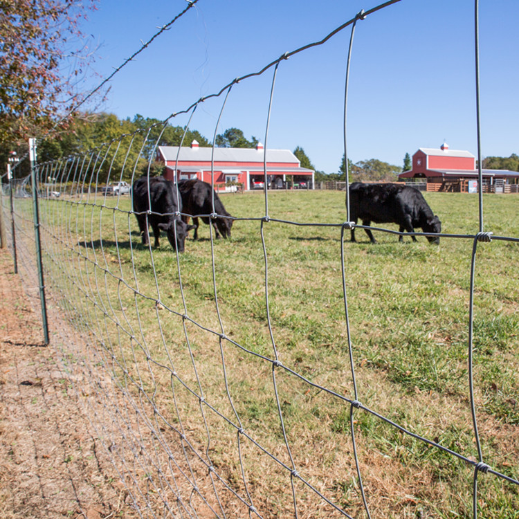 Reasonable price Metal Woven Wire Mesh - 2 Meter Galvanized Hinge Joint Deer Fence Field Fence – XINTELI