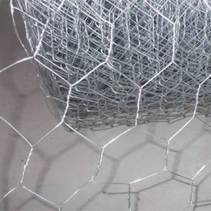 Manufacturer of China 25mm 0.6mx50m Galvanized Hexagonal Chicken Wire Mesh for UK
