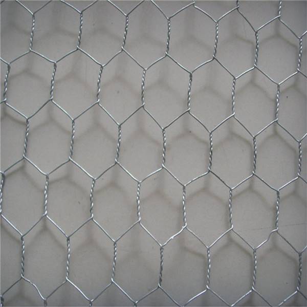 Galvanized hexagonal wire mesh Animal Fence