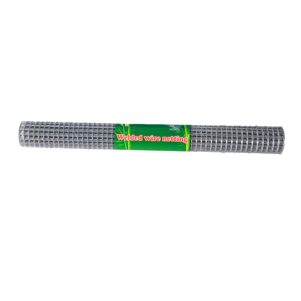 Free sample for 10 Gauge Welded Wire Mesh - Welded Wire Mesh With Hot Dipped Galvanized – XINTELI