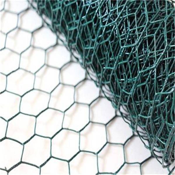 PVC Coated Galvanized Hexagonal Wire Netting Chicken&Poultry  Mesh Featured Image