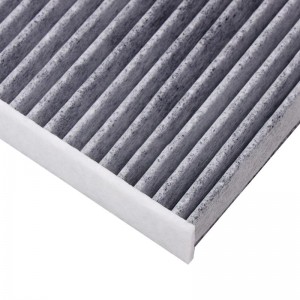 Activated Carbon Air Filter 87139-0N010