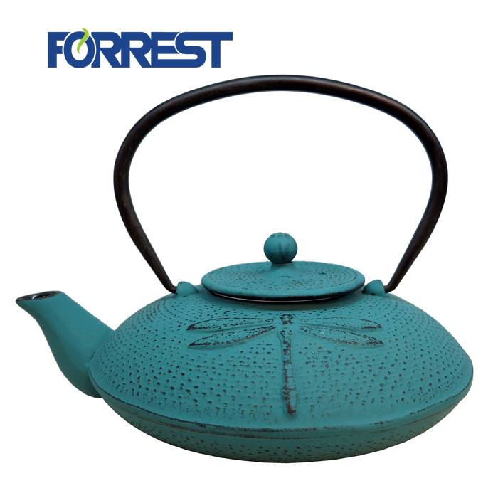 Enamel Japanese Cast iron Teapot Kettle with Dragonfly