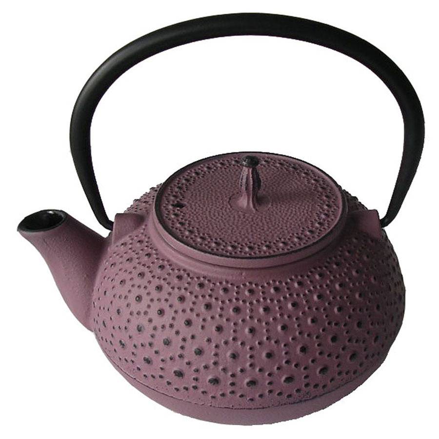 Cast iron teapot enamel Tea set Drinkware Teapot Kettle for Tableware with stainless infuser