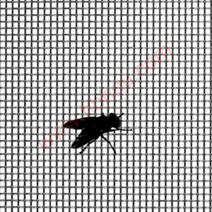 OEM China PP and Fiberglass Plisse Mosquito Screen Nettings / Pleated Insect Screen Mesh for Window and Door