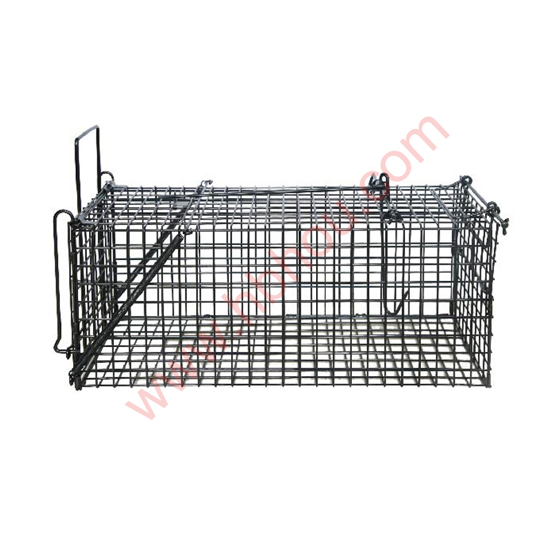 Heavy Duty Black Live Animal Cage Trap Featured Image