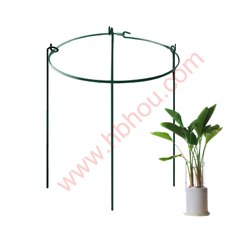 2022 China New Design Indoor Or Outdoor Plants Stakes - Metal Garden Plant Support Ring – Houtuo