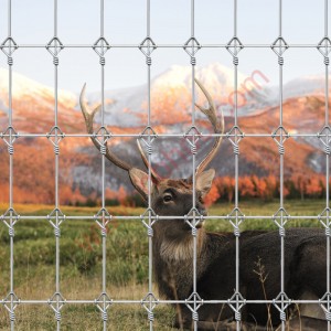 Deer Fence Galvanized Farm Livestock Fencing