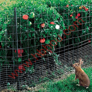 rabbit mesh