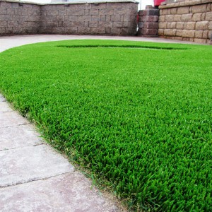 Artificial Carpet Plastic Football Field Artificial Turf Wall Artificial Grass for Home