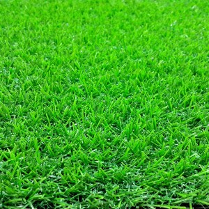 Artificial Carpet Plastic Football Field Artificial Turf Wall Artificial Grass for Home
