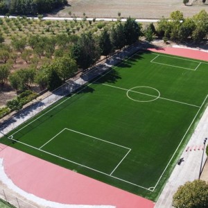 Economic Artificial Grass for Football and Soccor Field