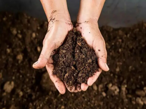 کاربرد نوآورانه ترکیب مونوپرسولفات پتاسیم – تصفیه خاک