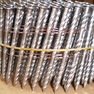 Hot-Dip galvanized coil nails sell well