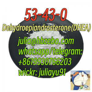 High purity CAS 53-43-0 Dehydroepiandrosterone(DHEA)
