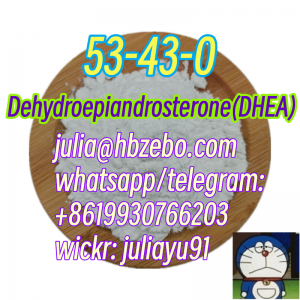 Top Quality CAS 53-43-0 Dehydroepiandrosterone(DHEA)