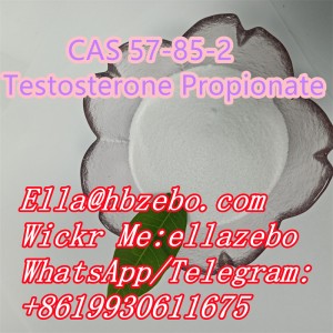 CAS NO.57-85-2 Testosterone Propionate