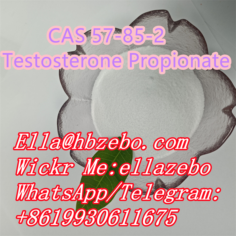 Excellent quality CAS NO.57-85-2 Testosterone Propionate