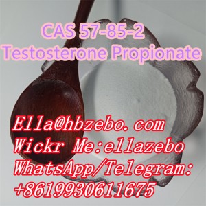 CAS NO.57-85-2 Testosterone Propionate