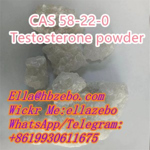 CAS 58-22-0 Testosterone