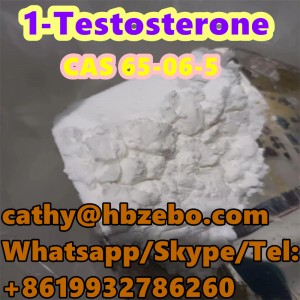 CAS 65-06-5 1-Testosterone